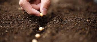 COMPLET / Conférence 1 : Planter les graines de votre transformation